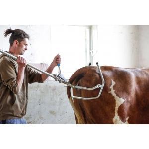 Tête de vêleuse hk plus pour race laitière, Articles professionnels, Agriculture | Aliments pour bétail