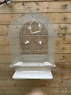 Vogelkooi Tweety, Dieren en Toebehoren, Vogels | Hokken en Kooien, Nieuw