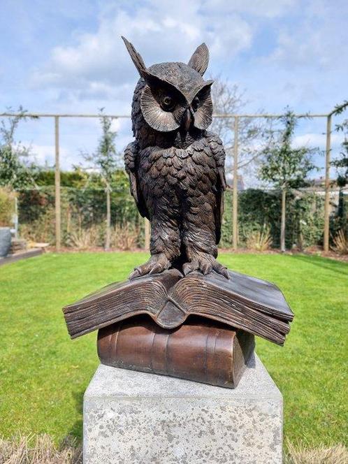 sculptuur, The wise owl - 52 cm - Brons, Antiek en Kunst, Curiosa en Brocante