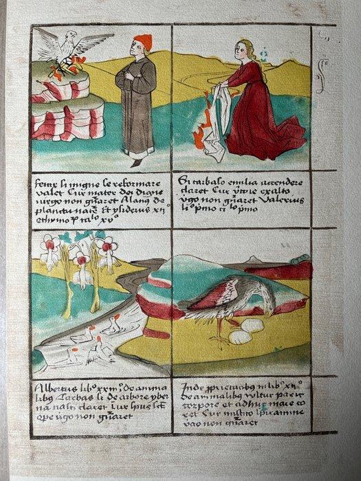 Anonymous / Insel-Verlag - Defensorium immaculatae, Antiek en Kunst, Antiek | Boeken en Manuscripten