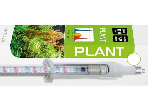 Leddy tube retrofit Plant  55-60cm / 10watt, Dieren en Toebehoren, Vissen | Aquaria en Toebehoren, Verlichting of Verwarming, Nieuw
