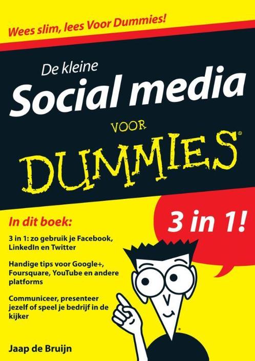 Voor Dummies - De kleine social media voor Dummies, Livres, Informatique & Ordinateur, Envoi
