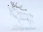 Figure - Swarovski Crystal - Edelhert (Boxed + certificate)