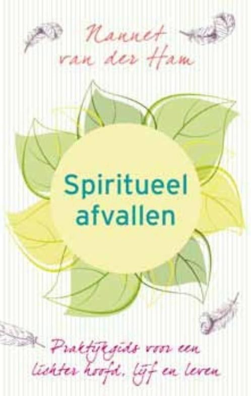 Spiritueel afvallen 9789025961220 Nannet van der Ham, Boeken, Esoterie en Spiritualiteit, Gelezen, Verzenden
