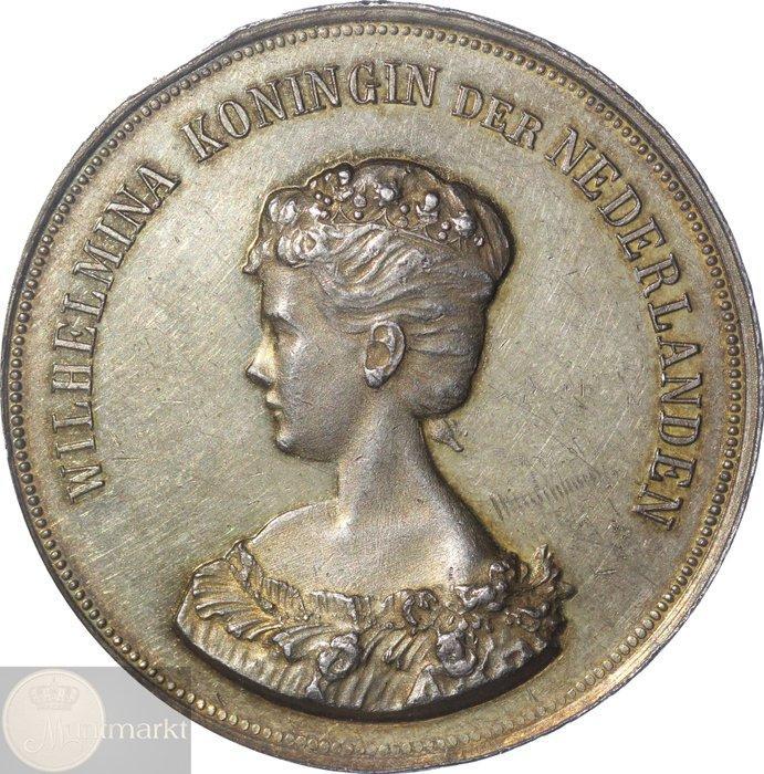 Koninkrijk der Nederlanden. Historiepenning /, Postzegels en Munten, Munten en Bankbiljetten | Toebehoren