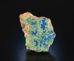 Azurite avec malachite - mine de Morenci, États-Unis -, Collections, Minéraux & Fossiles