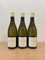 2022 Domaine Hubert Lamy La Princée - Saint-Aubin - 3