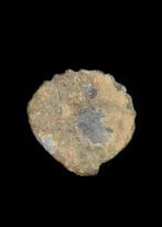 Grieks-Romeins Lood Schelpvormig handelsgewicht (Zonder