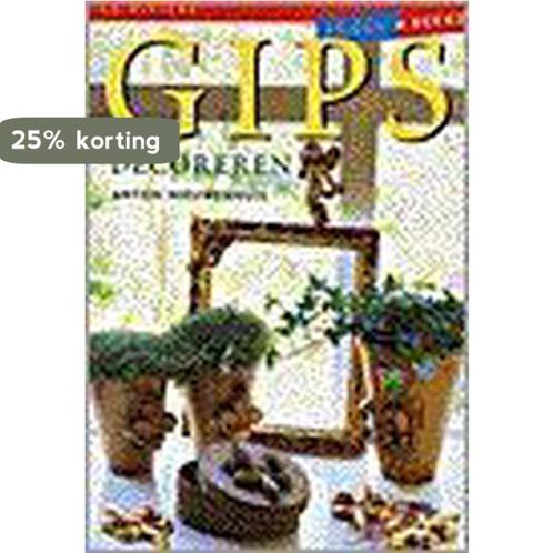 Gips decoreren 9789038411699 Anton Nieuwenhuis, Boeken, Hobby en Vrije tijd, Gelezen, Verzenden