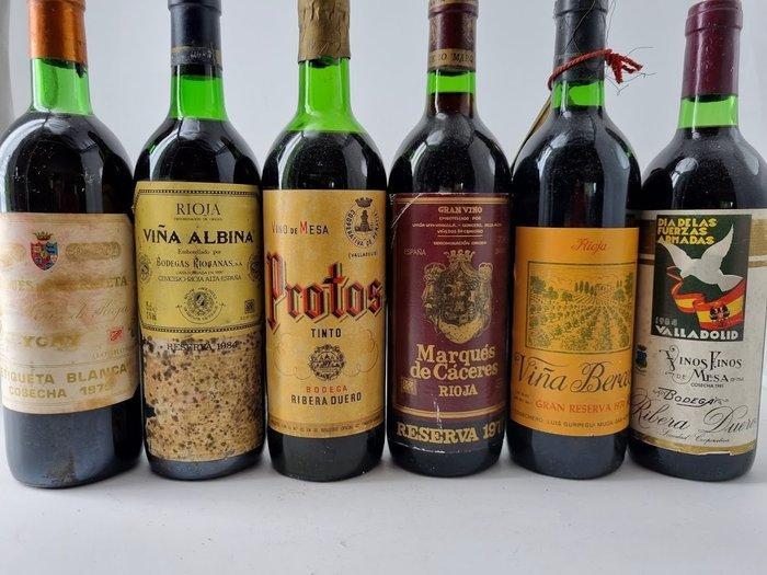 Mixed Lot 70-80s: M. de Murrieta, M. de Cáceres, Protos,, Verzamelen, Wijnen