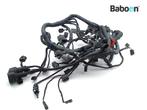 Kabelboom Triumph Tiger 1200 Explorer XC 2013-2017, Motoren, Verzenden, Gebruikt