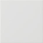 Gira Systeem 3000 Intelligent Bedieningselement - 536003, Doe-het-zelf en Bouw, Verzenden, Nieuw