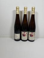 2015 Dr. von Bassermann-Jordan Ungeheuer Riesling - Pfalz, Nieuw