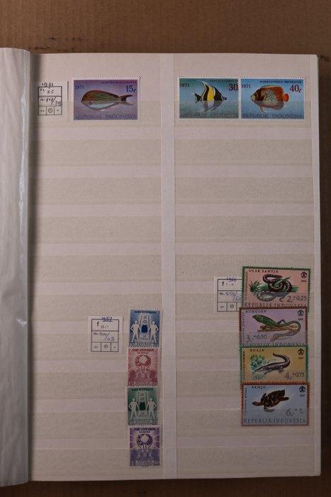 Nederland 1895/2000 - Lot in 1x Importa juweel, Postzegels en Munten, Postzegels | Nederland