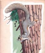 Neave Parker (1910-1961) - Story of Mammals - North American