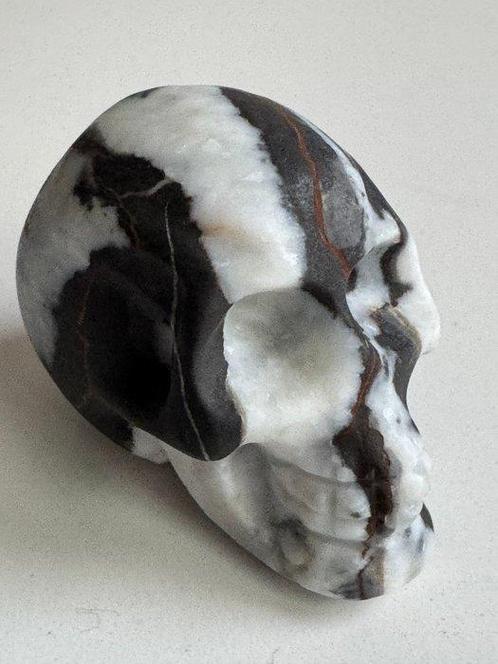 Figuur - Indrukwekkend gotisch beeldhouwwerk Memento, Verzamelen, Dierenverzamelingen