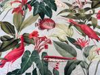 Oasi Cremisi – Fantastisch ecosysteem in Tropisch Rood -