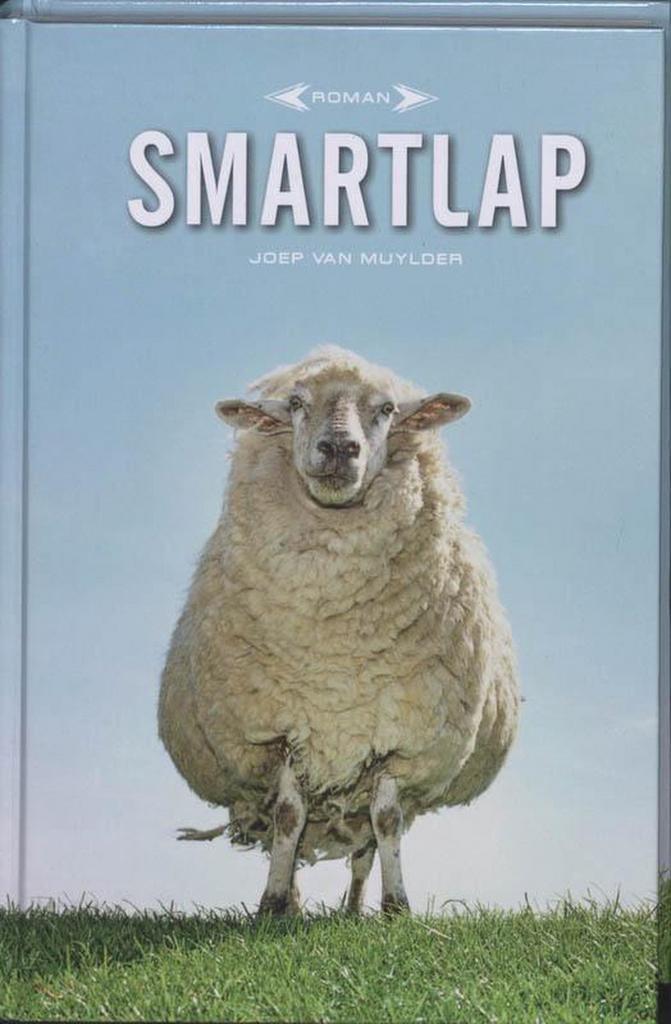 Smartlap 9789460010019 J. Van Muylder, Boeken, Romans, Zo goed als nieuw, Verzenden