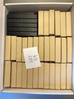 Grote collectie van 30 ingelijste vlinders, kevers en