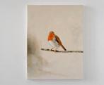 Matthieu van Riel - Robin on a Branch