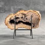 Étonnante tranche de bois pétrifié sur un support