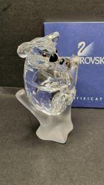 Swarovski - Koala met baby 955423 - certificated - Peter