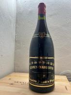 2019 Domaine Camus Pere et Fils - Gevrey Chambertin - 1, Collections