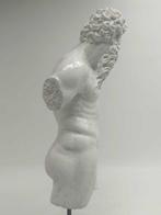 Sculpture, Torso di Poseidone - 46 cm - poudre de marbre