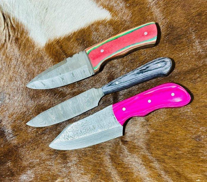 Keukenmes - Keukenmessen-Set (0177) - Exotisch houten, Antiquités & Art, Antiquités | Ustensiles de cuisine