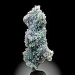 Agate de raisin bicolore – violet et vert-bleu botryoïdal