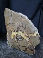 XXL Septaria, Septarie sculpture - Hoogte: 160 mm - Breedte:, Verzamelen, Mineralen en Fossielen