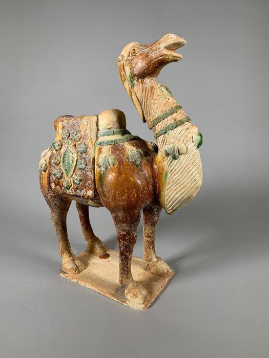 Oud Chinees, Tang-dynastie Terracotta Camel - 46 cm, Verzamelen, Mineralen en Fossielen