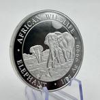 Somalië. 100 Shilling 2026 – African Wildlife Series –