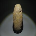Neolithisch Steen Hulpmiddel. 3000-1500 v.Chr. 25,8 cm L.