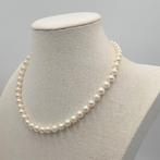 Zonder Minimumprijs - Halsketting Zilver Parel - Akoya 7,5