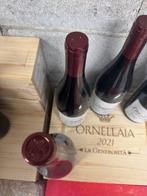 2015 x 3 JC Guyaux Santenay & 2020 Clos Saint Denis Grand, Collections, Vins