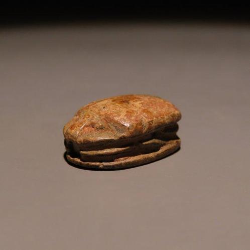 Oud-Egyptisch Speksteen Scarabee. Hyksos-periode, 1782 -, Verzamelen, Mineralen en Fossielen