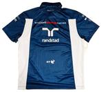 Williams Martini Racing – Original Hackett London Team Polo, Nieuw
