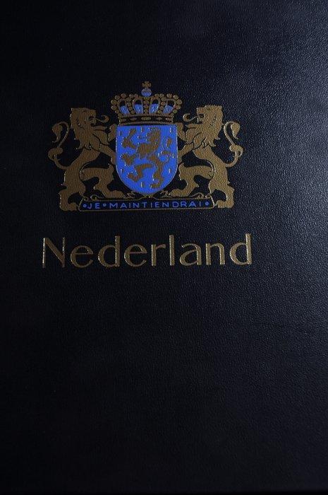 Nederland - Verzameling in diverse DAVO albums en, Postzegels en Munten, Postzegels | Nederland