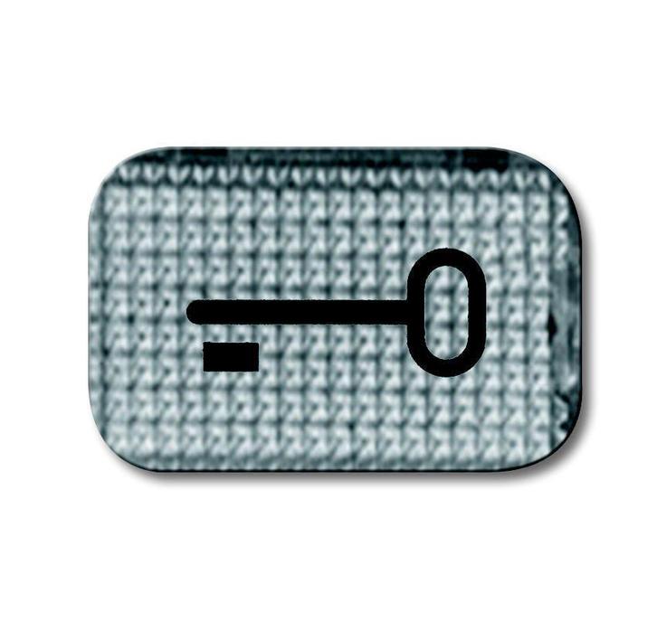 ABB Busch-Jaeger 2145 TR Key Symbol Transparent Lens -, Doe-het-zelf en Bouw, Elektriciteit en Kabels, Verzenden