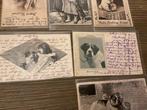 Différents pays - Animaux - Honden - Carte postale (76) -, Gelopen