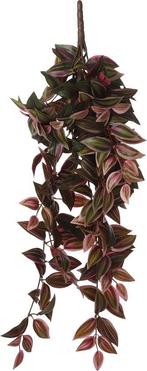 2dekans | Mica Decorations Tradescantia Kunst Hangplant -, Huis en Inrichting, Woonaccessoires | Kunstplanten en Kunstbloemen