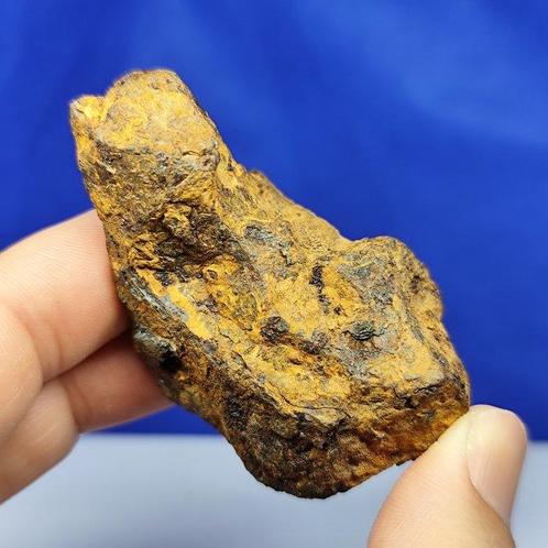 Météorite célèbre « Canyon Diablo ». Du cratère Barringer., Verzamelen, Mineralen en Fossielen