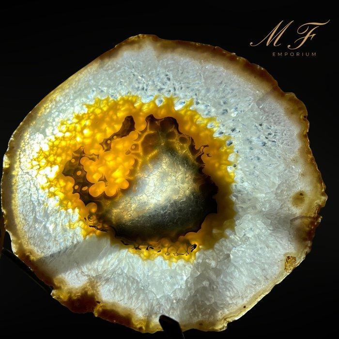 Prachtige agaatsnede met standaard Plak - Hoogte: 170 mm -, Verzamelen, Mineralen en Fossielen