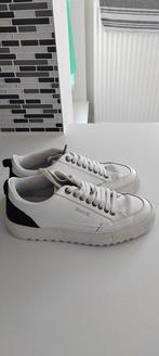 Other brand - Low-top sneakers - Maat: Shoes / EU 41