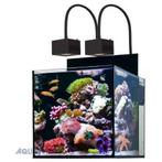 Aqua Medic Qubicus Qube (alleen glazen aquarium), Verzenden, Nieuw