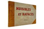 Collectif - Nuisibles et Rapaces - 1951