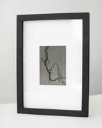 Anna Khavro - Abstract, Nature, Tree - silver print