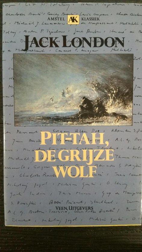 Pit-Tah, de grijze wolf / AMSTEL KLASSIEKEN 9789020454390, Boeken, Romans, Gelezen, Verzenden