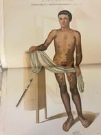 José Eugenio Olavide - Dermatologia general y clinica